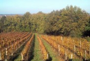 boniveau en novembre