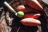 sweet_potatoes