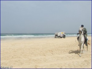 le Dakar 10147621 300x225 le Dakar