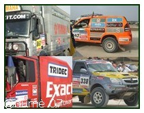le Dakar 10148197 le Dakar