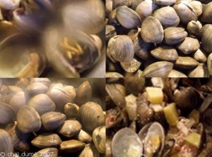 Soupe de clams 15823713 300x223 Soupe de clams