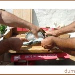 découpe du poisson