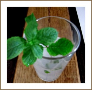 Easy citronnade 26385106 300x292 Easy citronnade
