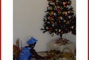 sapin-bis.jpg