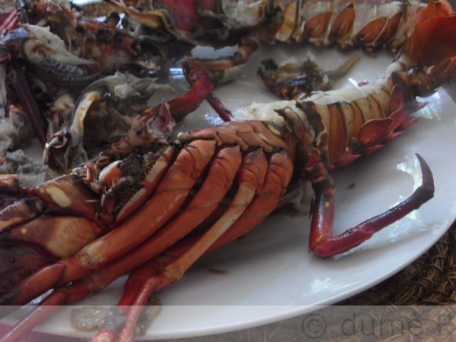 langoustes 640x4801 Salade fattouche