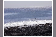 Atlantique au Sénégal