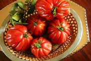 tomatoes