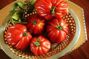 tomatoes1 300x200 Le lapin à la moutarde