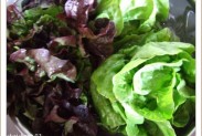salade