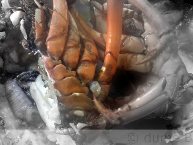 roasted lobster 640x480 Salade fattouche