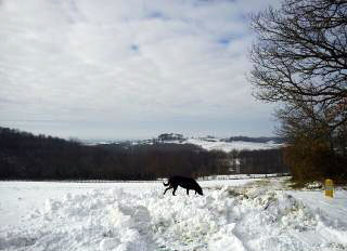 snow boniveau 3 snow boniveau 3 Well, well, well...