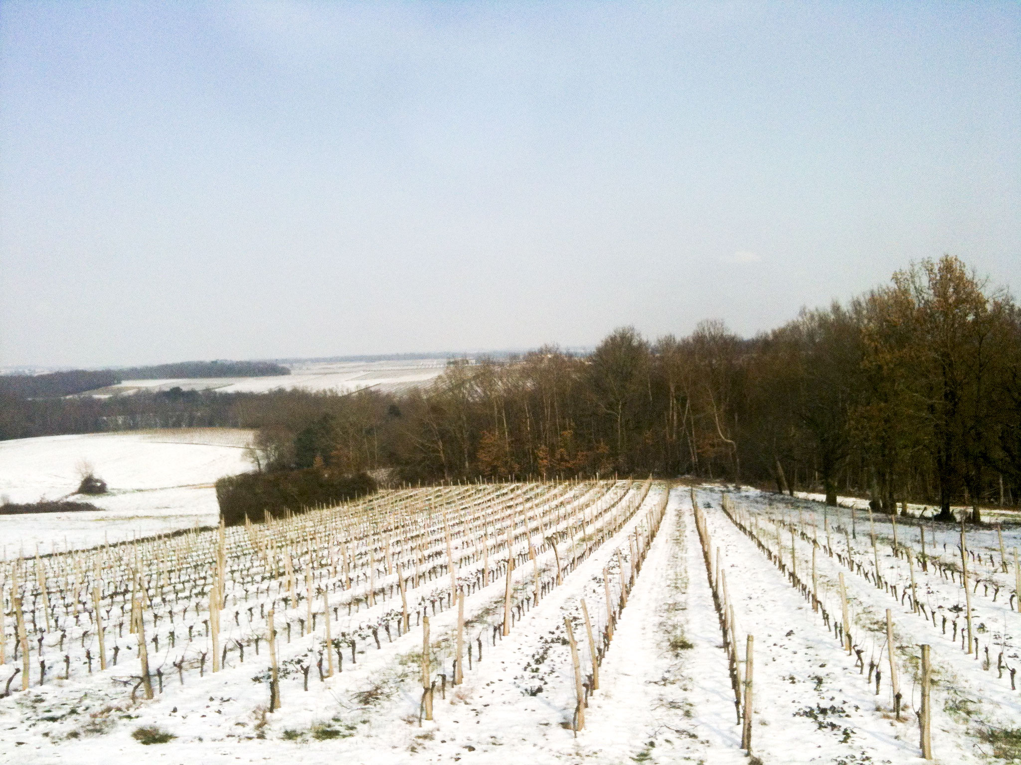snow boniveau 4 snow boniveau 4 Well, well, well...