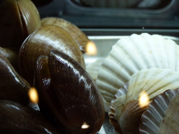 coquillages 580x435 Restaurante Bar Sardina