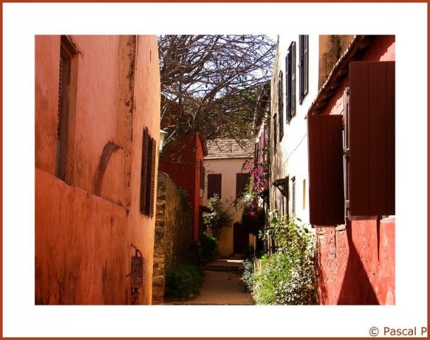 ruelle à Gorée