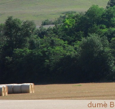 bottes de paille bottes de paille