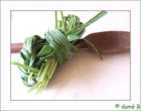 lemon grass citronelle