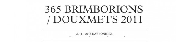 brimborions 365 - Douxmets 2011