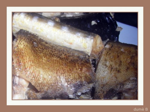 poisson-500x372 poisson bouillabaisse