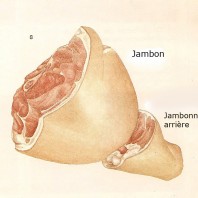 jambon jambon03-198x198