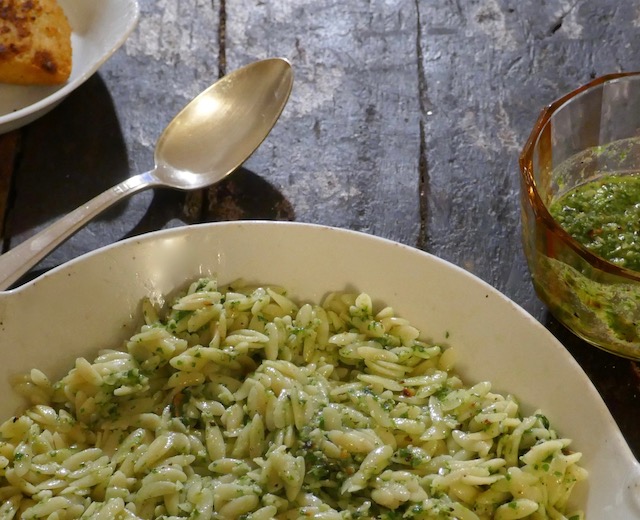 langues d'oiseaux _ aragula