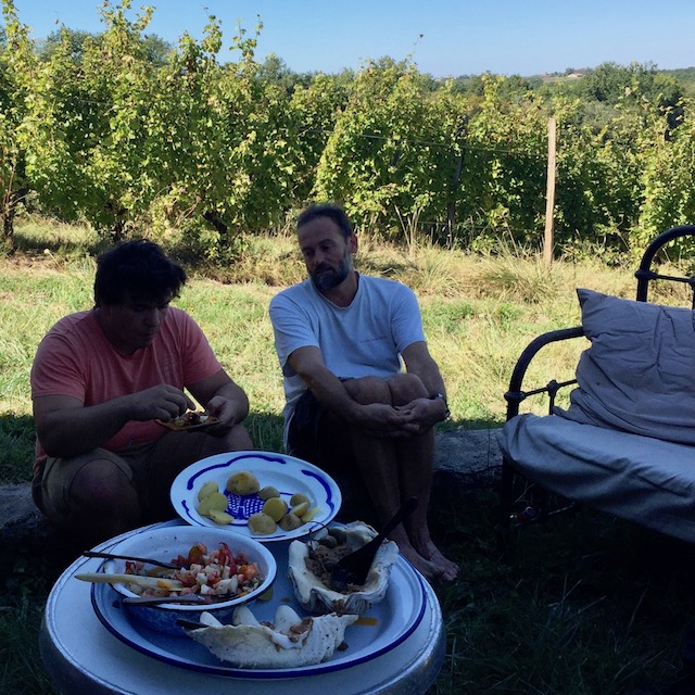 Tartinades faciles pour un déjeuner de vendanges