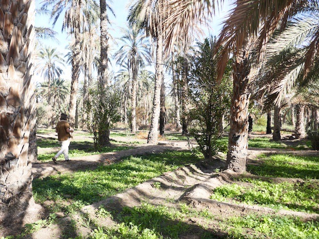 culture dite à étages