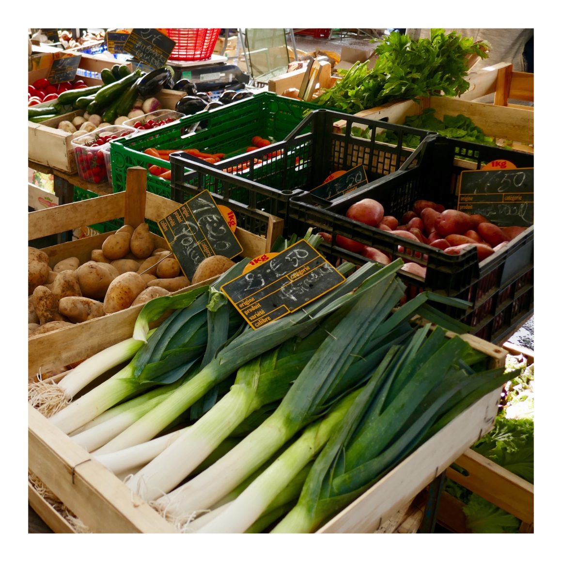 Poireaux De fin d’hiver