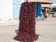 Piments niora