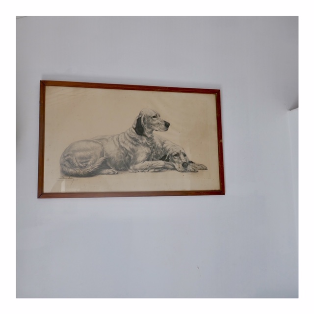 chien de chasse - fusain