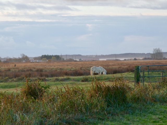 la ferme du marais